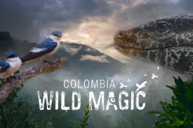 poster image for Colombia Wild Magic with birds and a snake